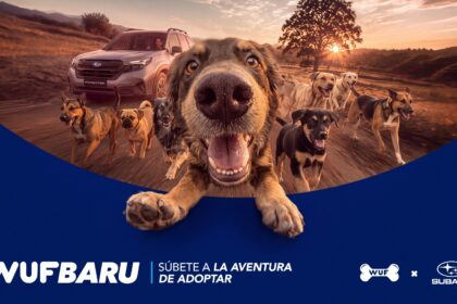 Subaru y WUF lanzan la campaña WUFBARU en Perú